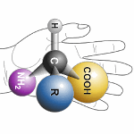 handed-molecule