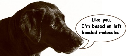 left-handed-molecule-dog
