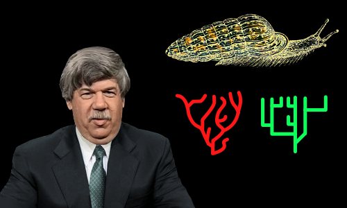 Stephen Jay Gould