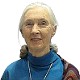 jane goodall