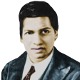 srinivasa ramanujan