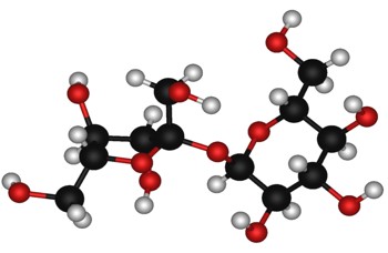 The Most Important Chemical Compounds