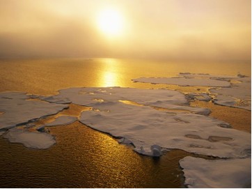 What You Need to Know About Global Warming and Climate Change