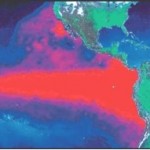 Understanding the El Niño Phenomenon