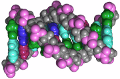 DNA