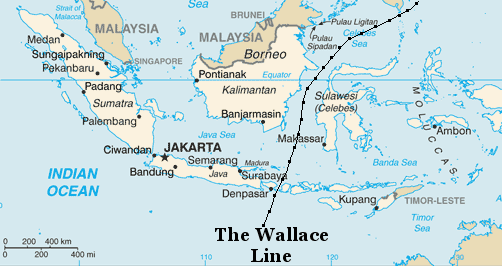 The Wallace Line