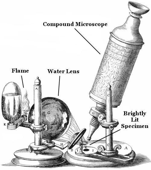 Robert Hooke's Compound Microscope