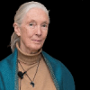 jane-goodall