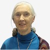 Jane Goodall