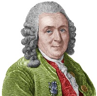 Carl Linnaeus