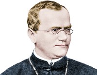 Gregor Mendel