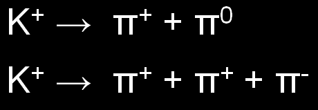 K plus meson decay