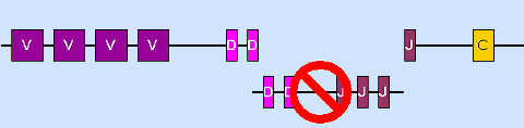 VDJ-recom-2