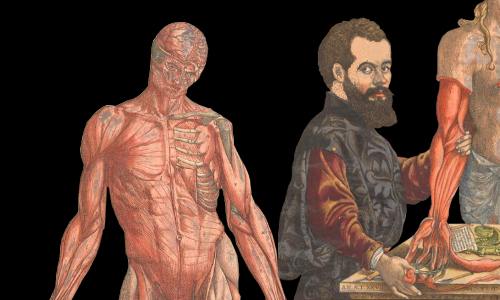 Andreas Vesalius