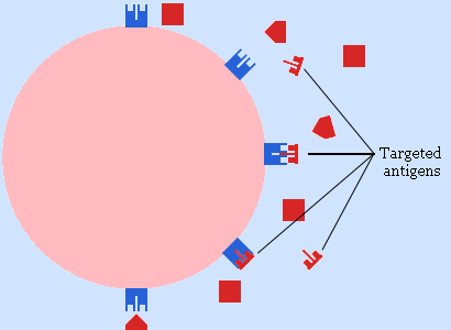 antigen-receptors