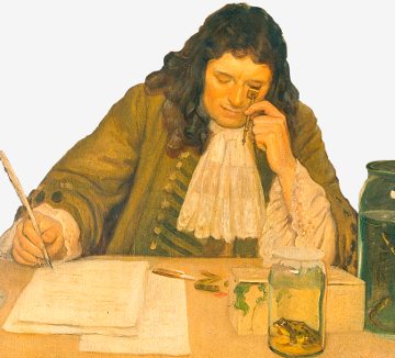 Antonie van Leeuwenhoek Microscope