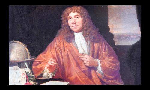 anton van leeuwenhoek discovery