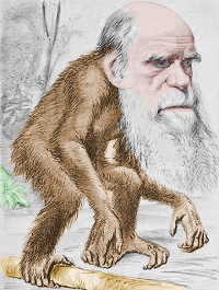 Why is Charles Darwin important?