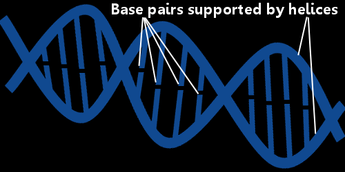 crude dna