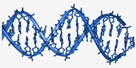 part of a DNA molecule