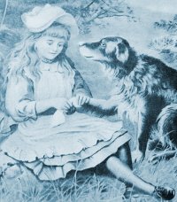 Florence Nightingale injured dog.