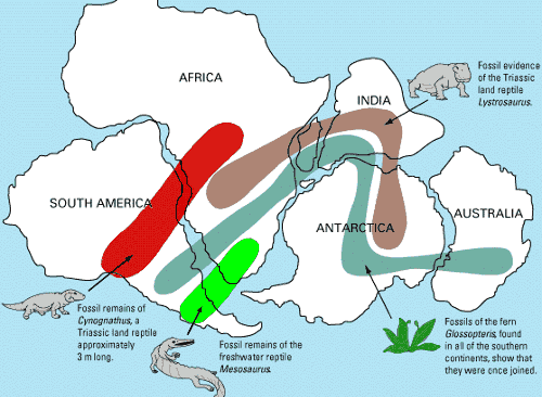 continental drift evidence