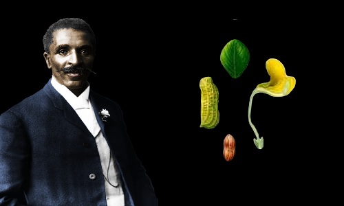 George Washington Carver