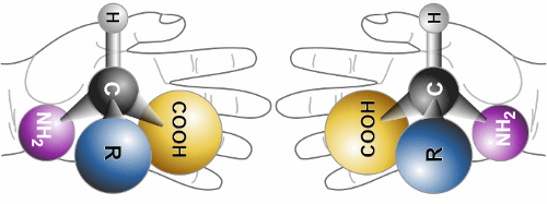 Handed molecules