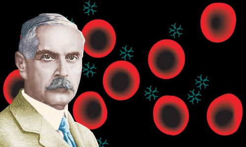 Karl Landsteiner