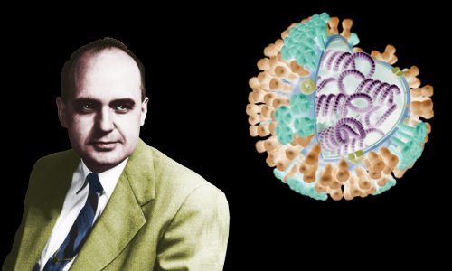 Maurice Hilleman