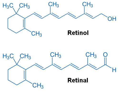 retinol and retinal