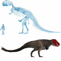 t-rex upright vs horizontal