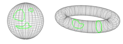 torus string