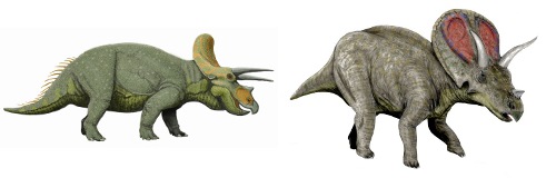 triceratops and torosaurus