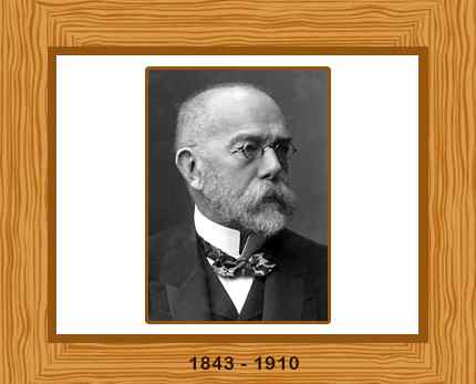 Robert Koch Was A Prominent German Bacteriologist