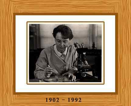 BARBARA MCCLINTOCK